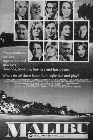 Malibu poster