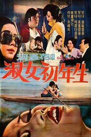 A Young Lady poster