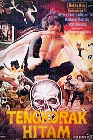 The Black Skull poster