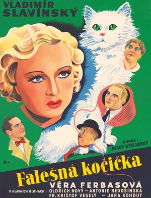 Falešná kočička poster