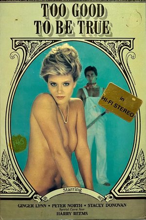 Too Good to Be True poster