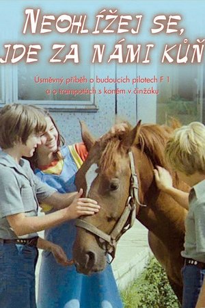 Don't Look Back, There Is a Horse Behind Us poster