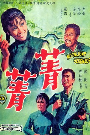 Moonlight Serenade poster