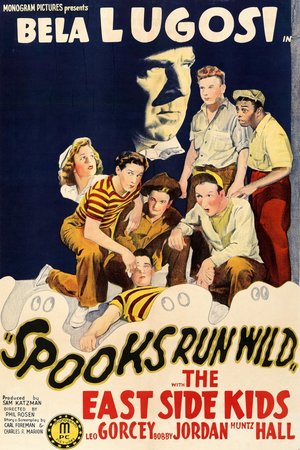 Spooks Run Wild poster