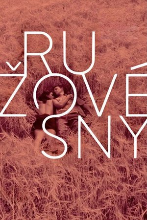 Rose Tinted Dreams poster