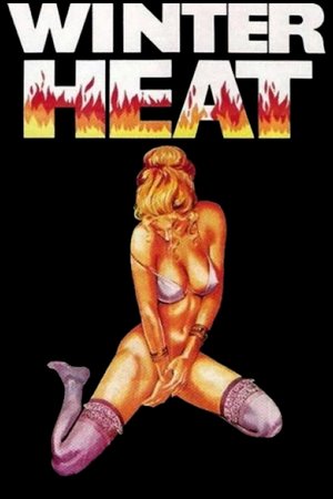 Winter Heat poster