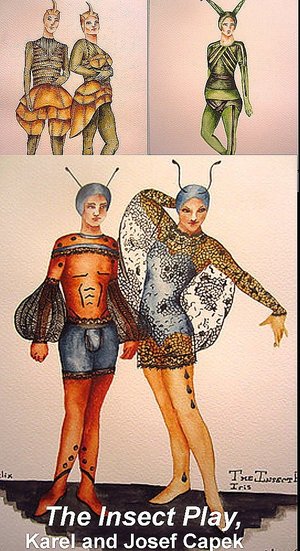 The Insect Play poster