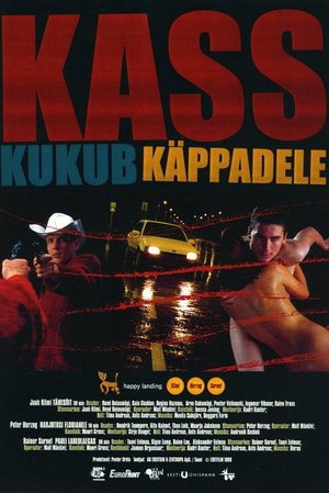 Happy Landing poster