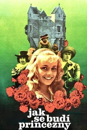 How to Wake a Princess poster