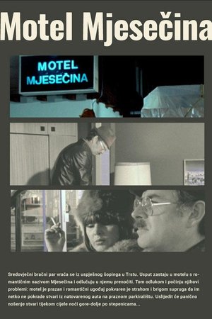 Motel Moonlight poster