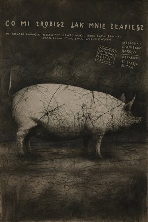 What Will You Do When You Catch Me? poster