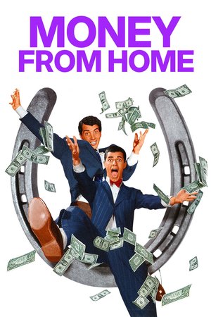 Money from Home poster