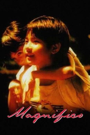 Magnifico poster