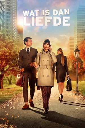 Wat is dan liefde poster