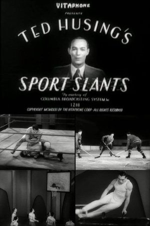 Sport Slants #1 poster