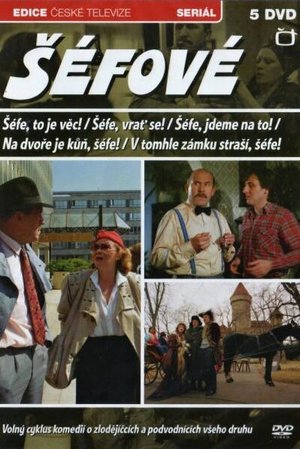Chief, Come Back! poster