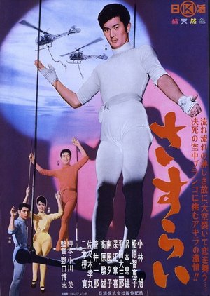 Love in the Air poster