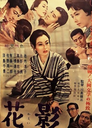 Shadow of a Flower poster
