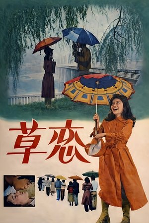 Love In The Rain poster