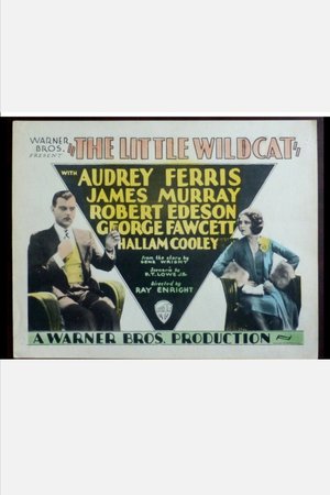 The Little Wildcat poster