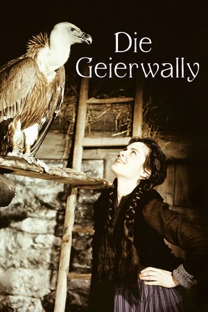 Wally of the Vultures poster