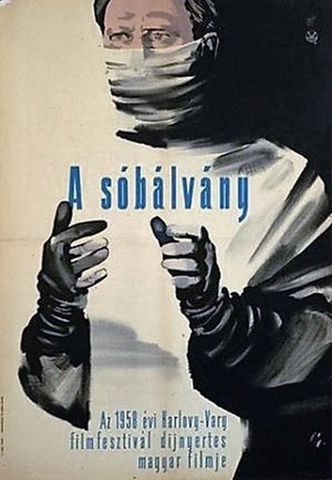 Pillar of Salt poster