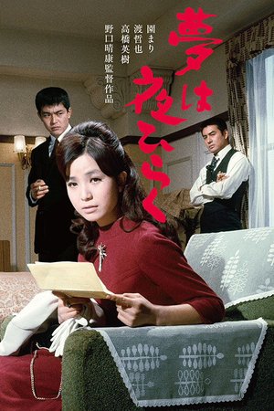 Dreams Come True at Night poster