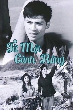 From The Same Forests poster