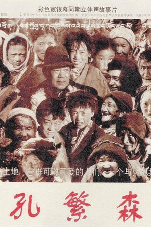 Kong Fan Sen poster