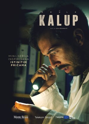 The Mould poster