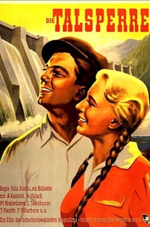 Priehrada poster
