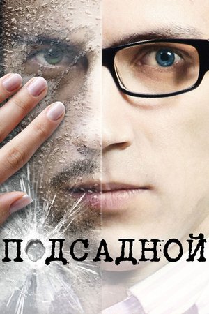 Decoy poster