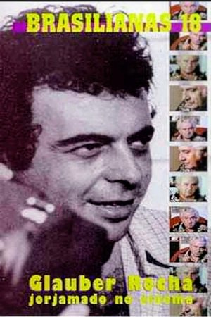 Jorge Amado no Cinema poster