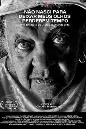 Não Nasci para Deixar meus Olhos Perderem Tempo poster