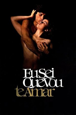 Love Me Forever or Never poster