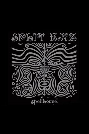 Split Enz: Spellbound poster