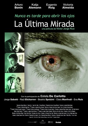 The Last Look poster
