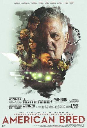 American Bred poster