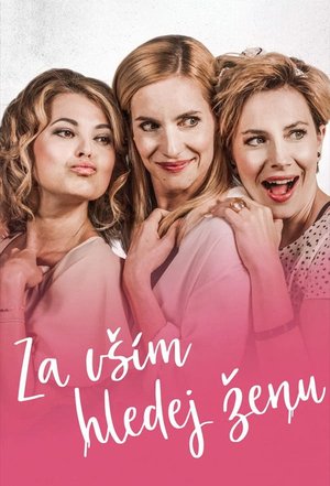 Za vším hledej ženu poster
