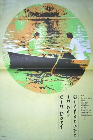 Village in the City poster