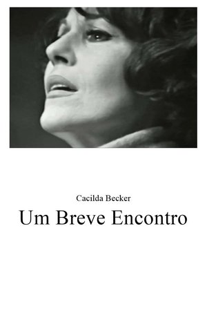 Um Breve Encontro poster