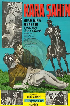 Kara Şahin poster