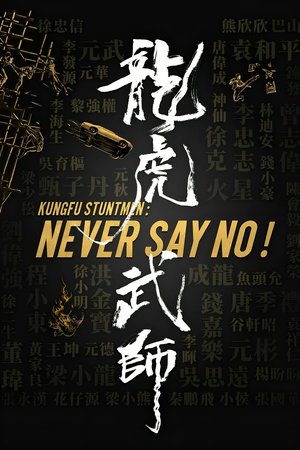 Kung Fu Stuntmen poster