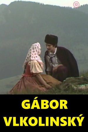 Gábor Vlkolinský poster