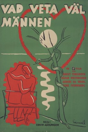 Vad veta väl männen? poster