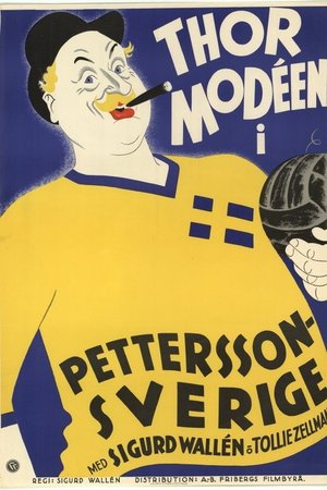 Pettersson - Sverige poster