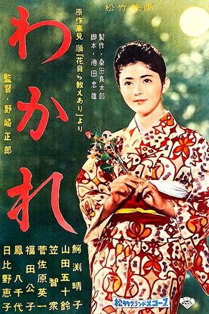 Love in the Mountains poster