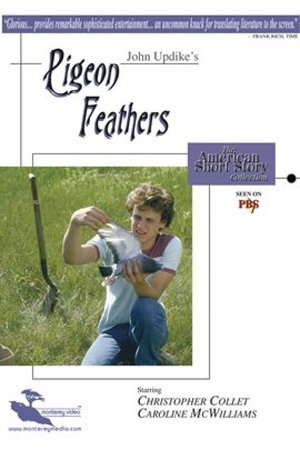 Pigeon Feathers poster