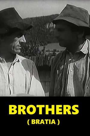 Brothers poster