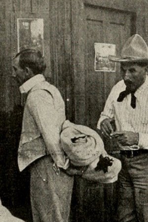 A Montana Mix-Up poster